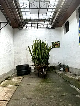 oliver price1 online show from October 2025 07:18:01 PM