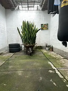 oliver price1 online show from November 2025 08:03:01 PM