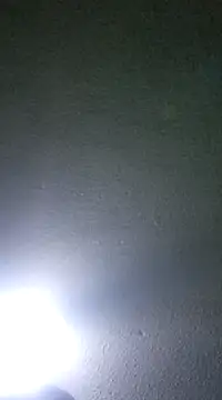 Snapshot of Elcogetuquieres chatting on January 2025 05:16:02 AM Elcogetuquieres online show from January 2025 05:16:02 AM